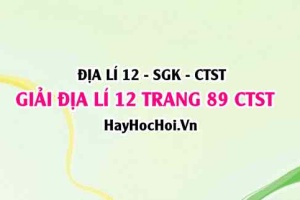 Giải Địa lí 12 trang 89 Chân trời sáng tạo SGK